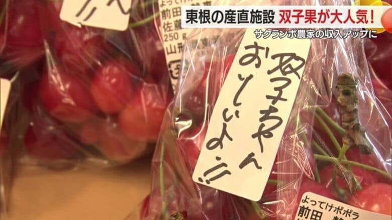 サクランボの双子果が産直施設で大人気「かわいい」「初めて見た」　特設コーナー設け農家の収入アップに【山形発】｜FNNプライムオンライン