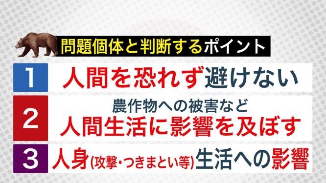 問題個体と判断するポイント