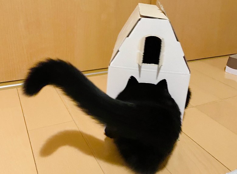 後ろから見るとこんな感じ