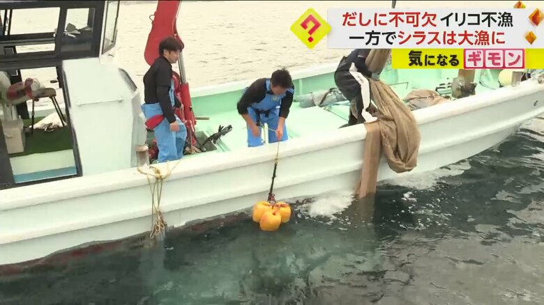 漁師が船から網を引き上げる