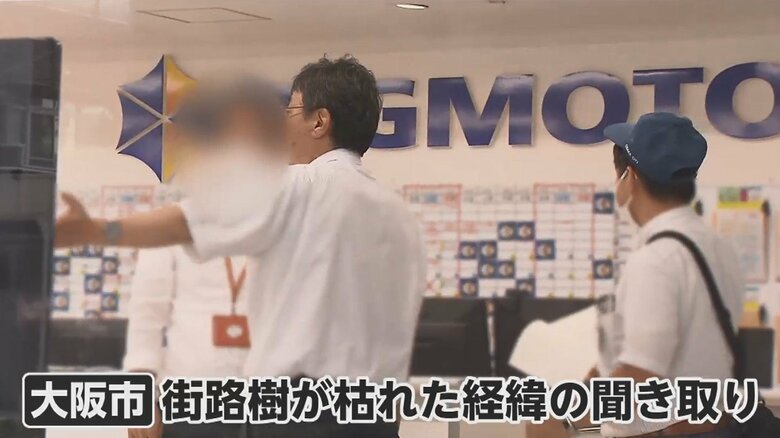 大阪市東住吉区の店舗　2019年に樹木が切り取られていた