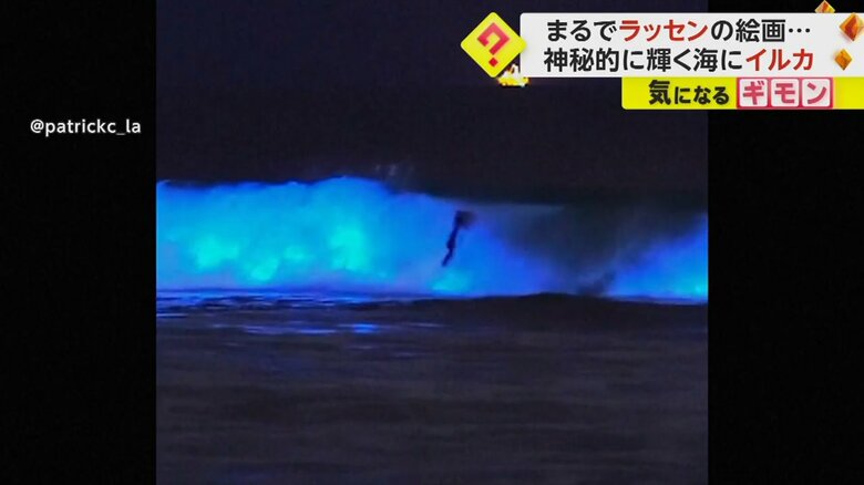 サーファーが乗る波も青白く光っている