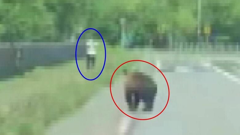 撮影：ｈａｙａｔａｋｕ@hayataku2000