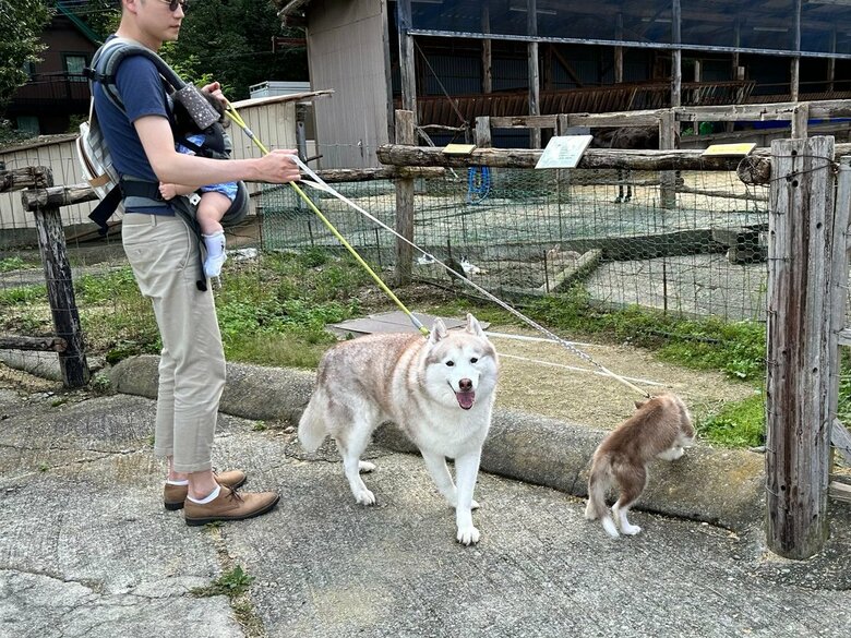 まわりに興味を示すようになったマリアンちゃん（提供：ヴィヴィまりさん）