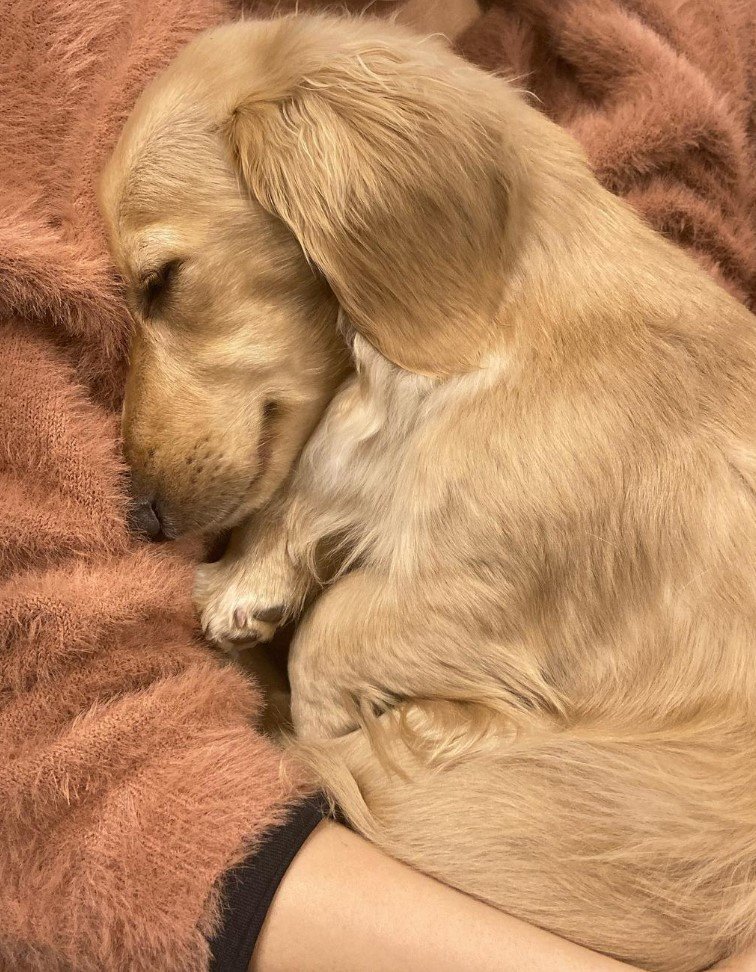 提供：___0516.wanさん