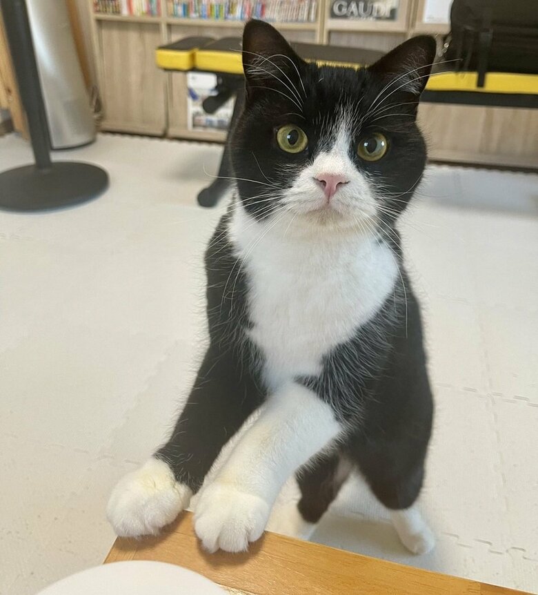 構ってアピールをしてくるたろうくん