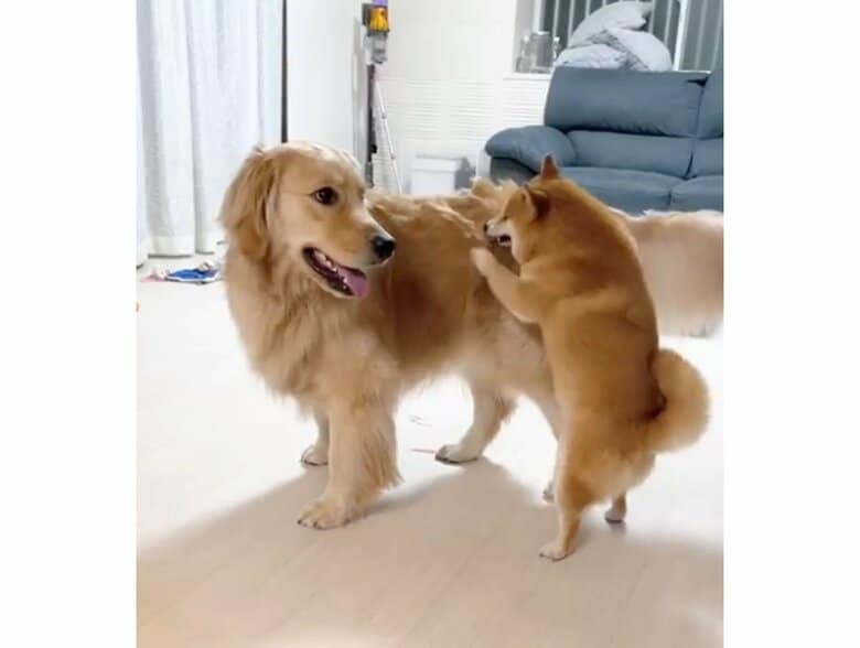 提供：うにandおからさん