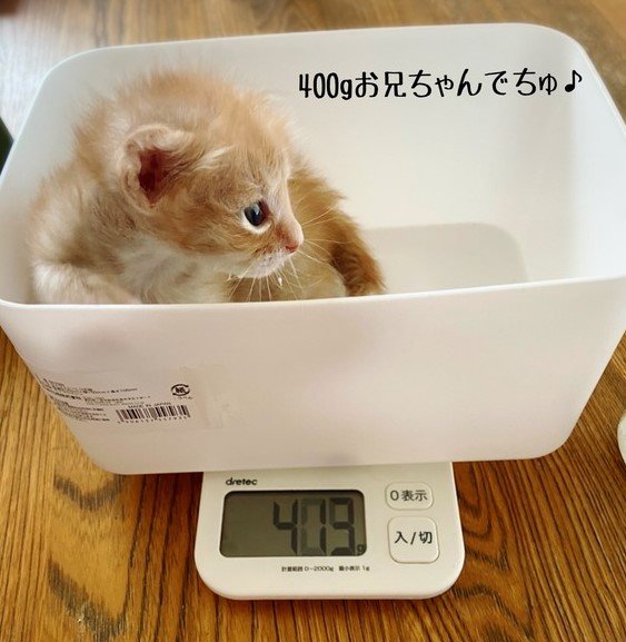 提供：ちょとさん