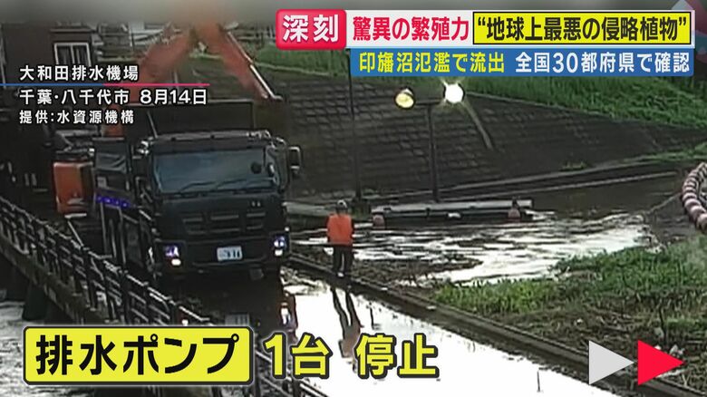 排水ポンプが停止（関西テレビ「旬感LIVE とれたてっ！」より）