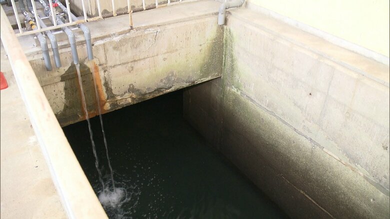 三保雨水ポンプ場の排水路