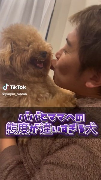 提供：ピン太郎ママさん