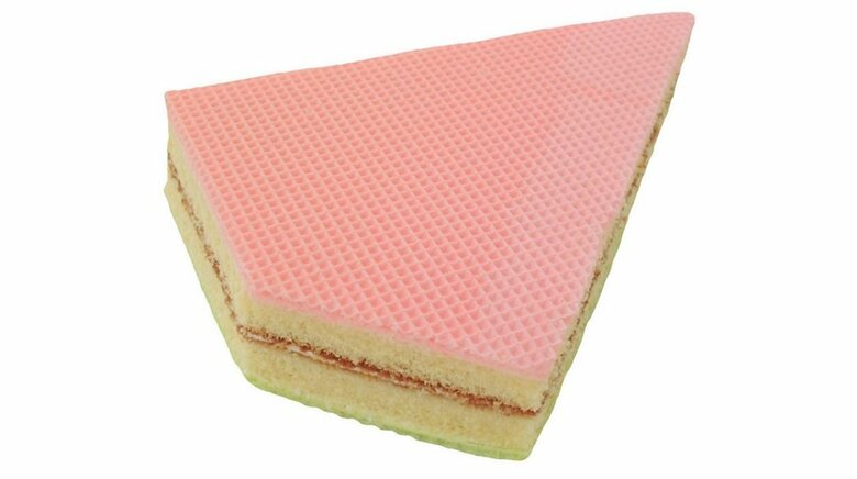 一見すると確かにスポンジに見えなくもない…