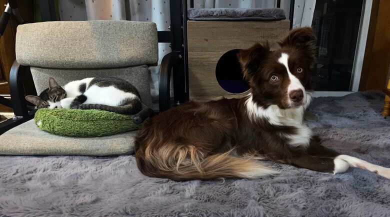 提供：ゆに＆メッシさん