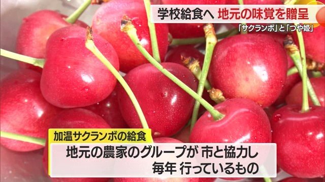 栽培用ハウスで育てられた真っ赤な加温サクランボ・佐藤錦が給食で提供された