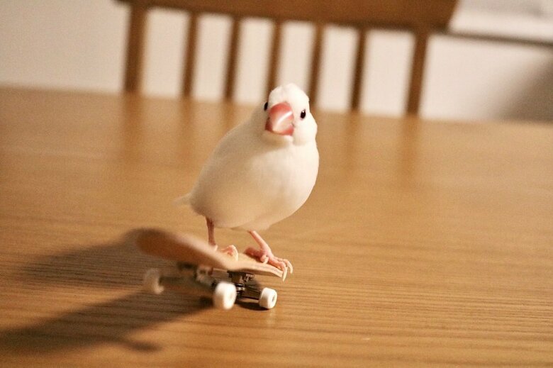 カメラ目線を忘れずに