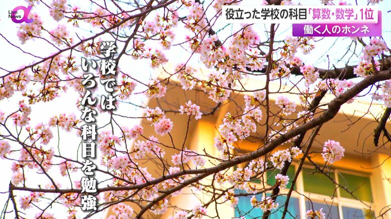 いろんな科目を勉強する学校のイメージ