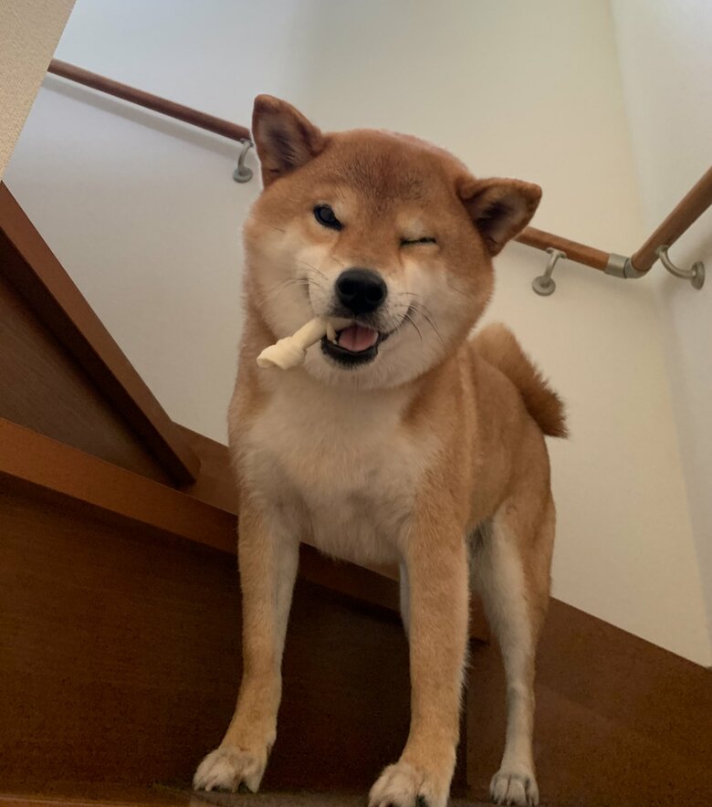 こちらはお得意の「葉巻のようにガムをくわえる」ポーズ