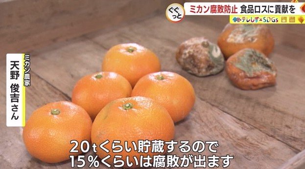 天野さん「（貯蔵で）約15%が腐敗」