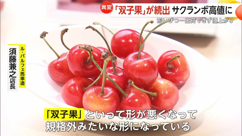 「双子果」が増えているサクランボ