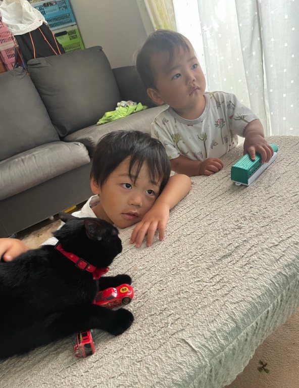 提供：ゴンゾウR4さん