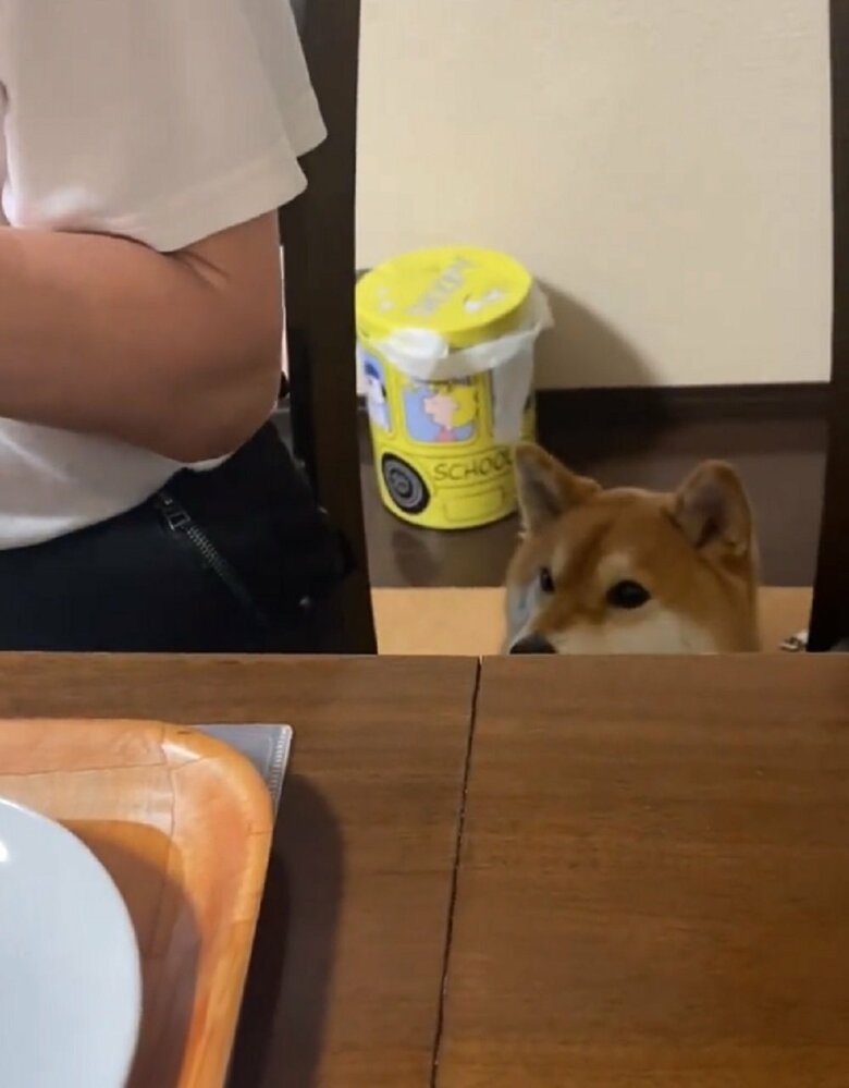 卵サンドを狙っている
