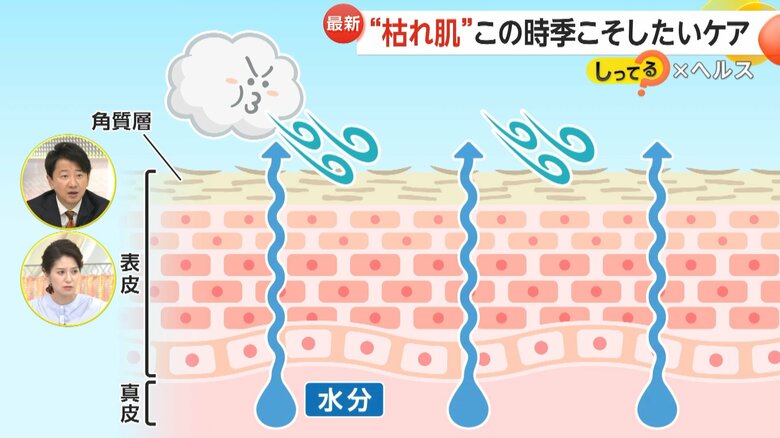 冬の乾燥により炎症やシミ、シワを引き起こす肌の仕組み⑥