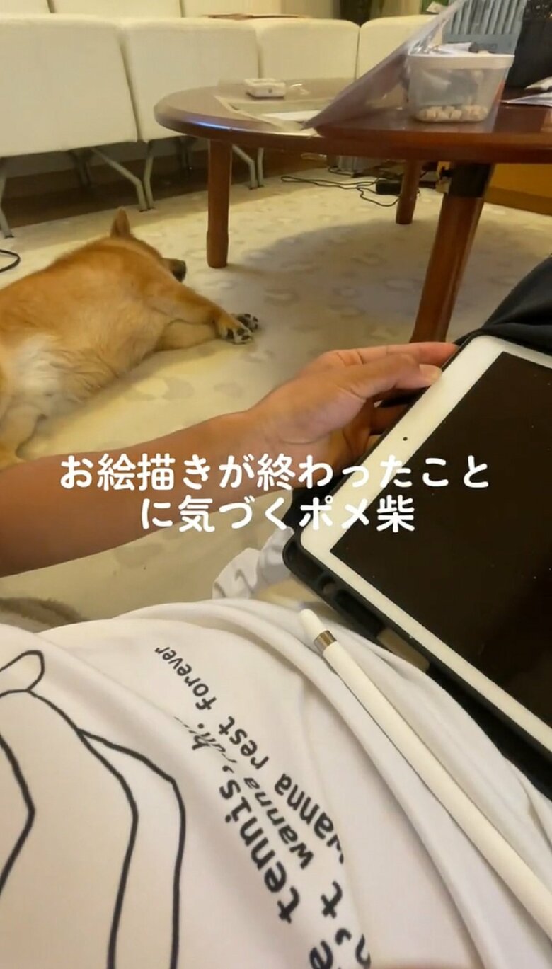 飼い主さんが端末のボタンを押してスリープにすると…
