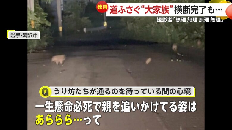 「一生懸命必死で親を追いかけてる姿っていうのはあららら…って」と話している撮影者
