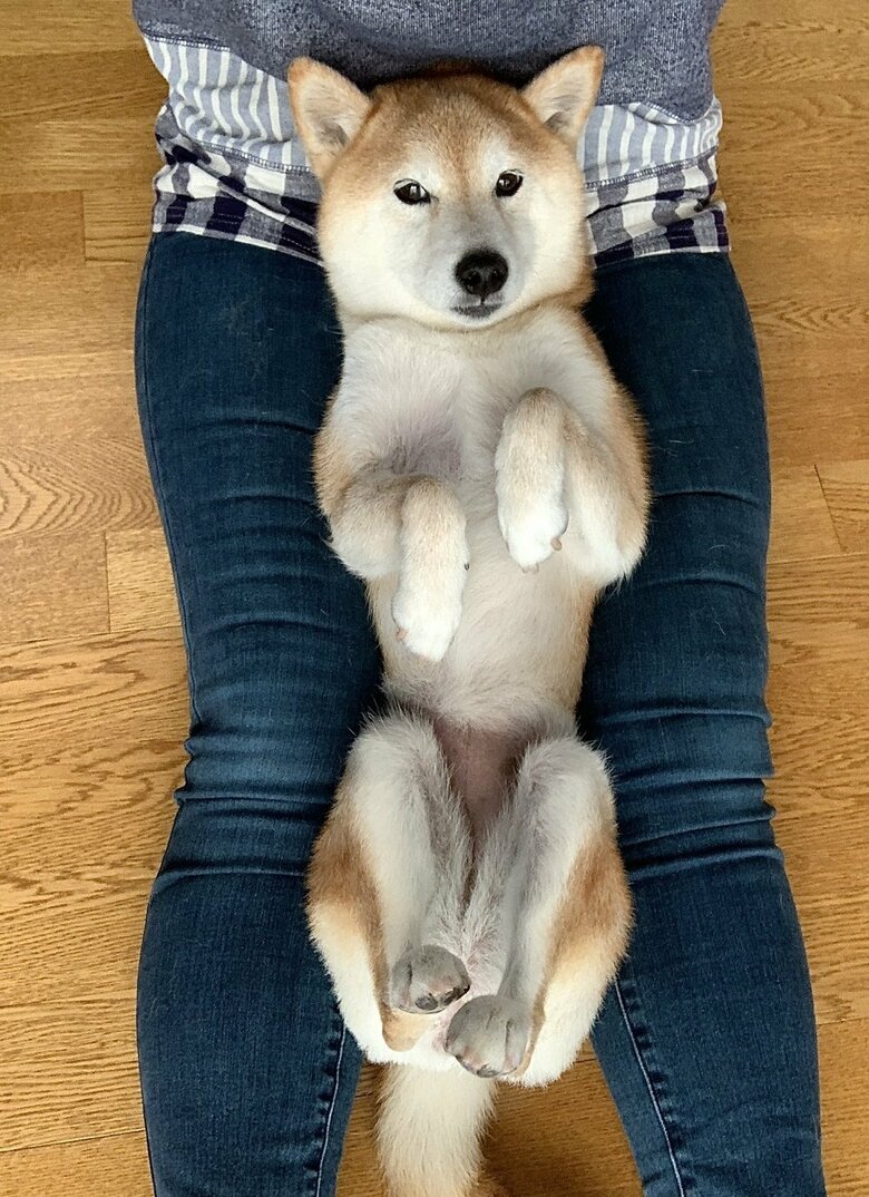 足の間にフィット