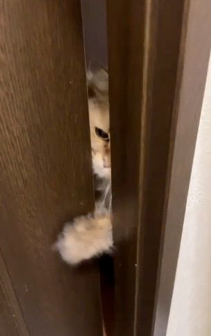 提供：ひなたさん