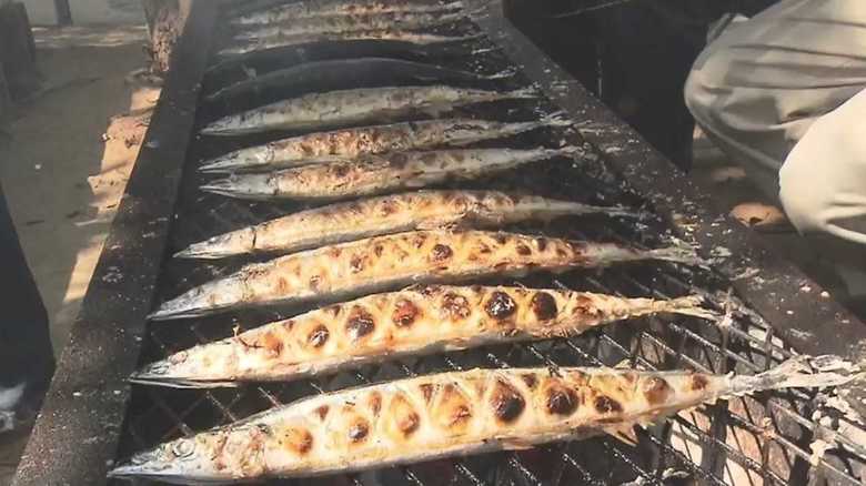 秋の味覚サンマ 去年は不漁で高値…今年は安くなる?