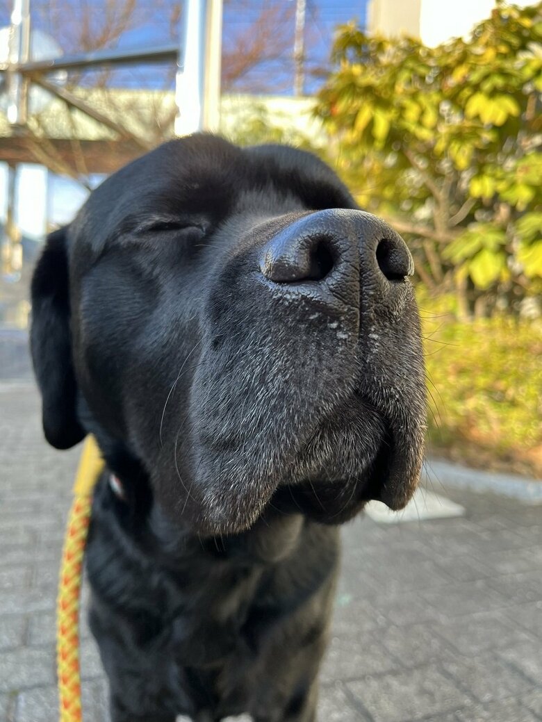 風を感じているのか？気持ちよさそう