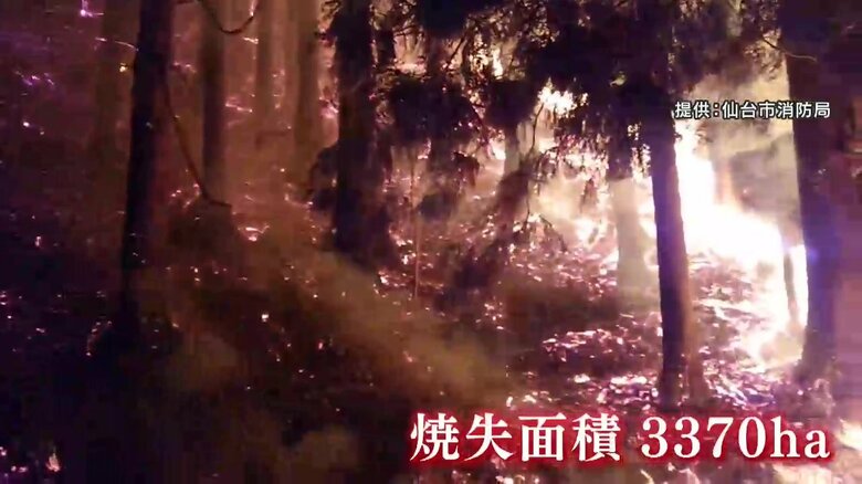 3370 haが焼失・平成以降最大の山林火災