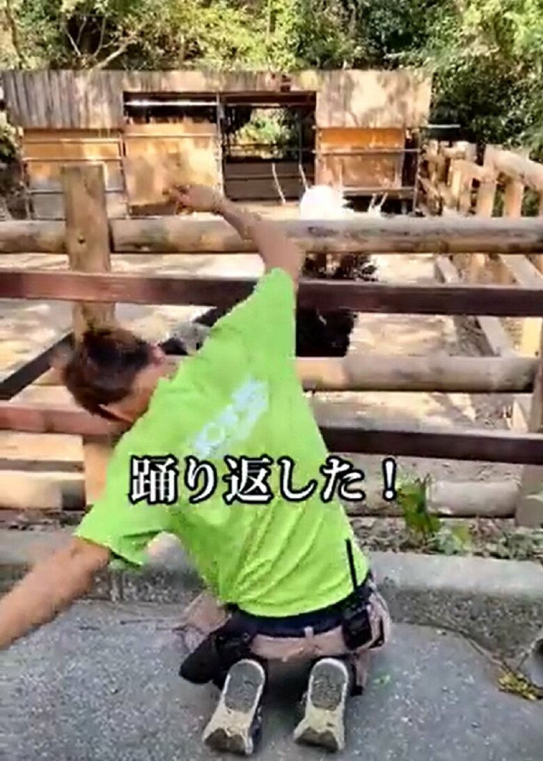 男性飼育員もキョウちゃんもどちらもキレのある踊りを披露し合う