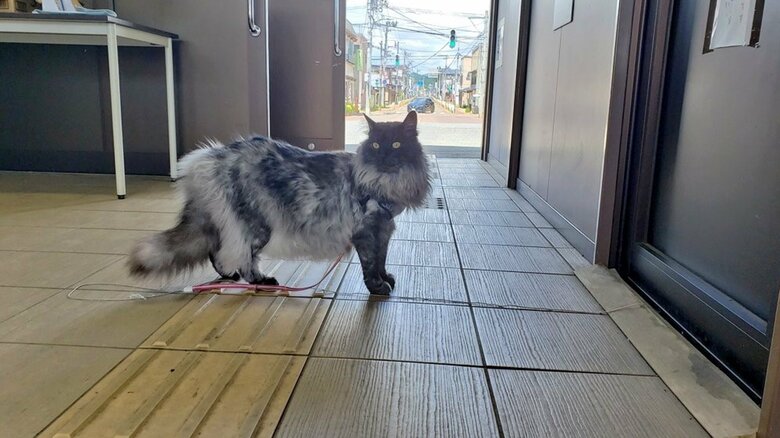 駅構内をパトロール