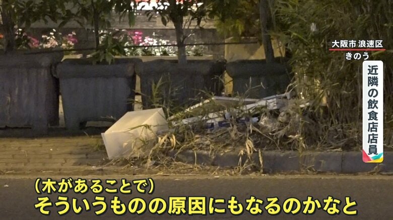 樹木の影には、不法投棄らしきゴミも