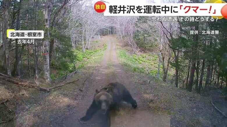 車に襲い掛かってきたヒグマ