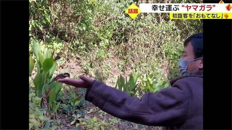 観光客の手にはヤマガラが