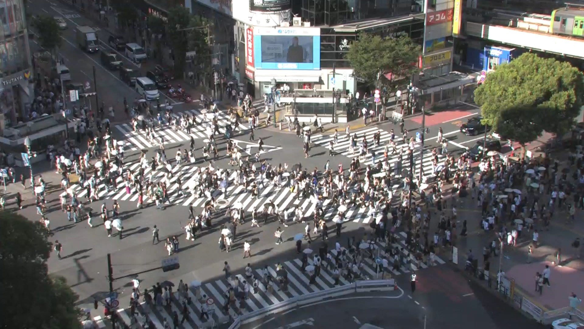 東京都内で男女90人を熱中症で搬送　80代男性が重篤、0歳男児も軽症