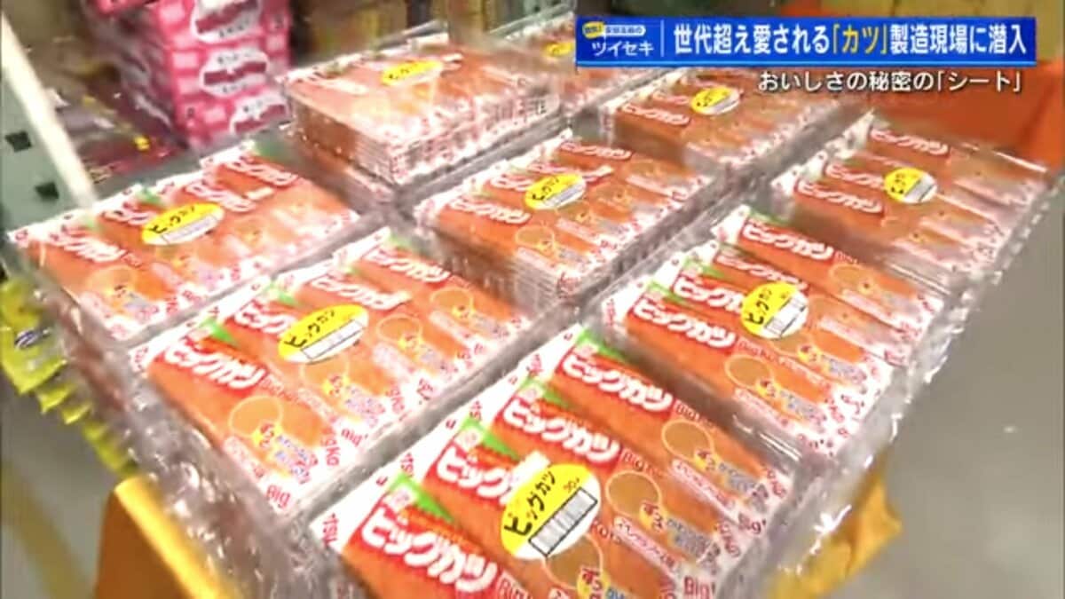 ハムカツ」のような駄菓子「ビッグカツ」材料は魚肉 温めると揚げたて