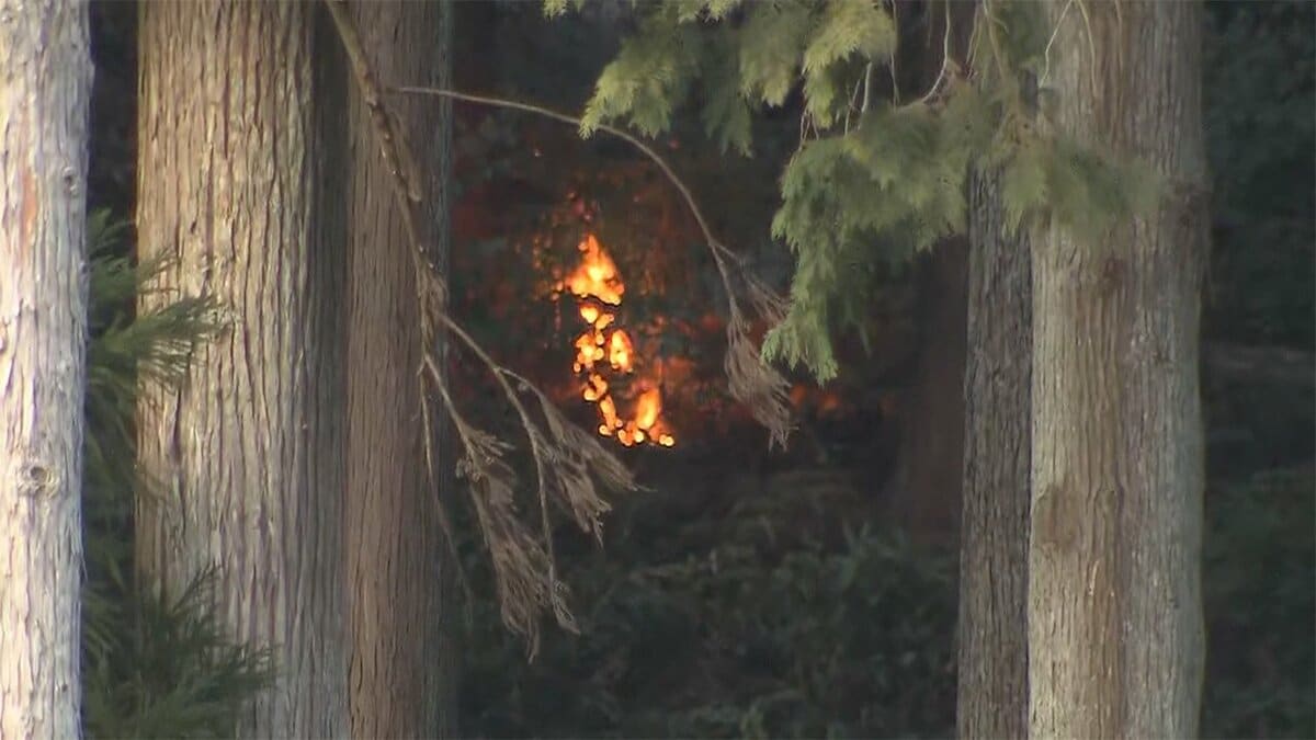 火事 青梅