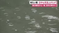 春の陽気から一転して真冬の寒さに逆戻り　低気圧や湿った空気の影響で雨　日中も気温上がらず