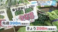 野菜の価格は？　青果店が教える『買い時』は…きのこ・白菜・水菜…今どうなってる？　【広島発】