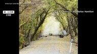 観光名所で落石の瞬間　乗用車1台分超えるサイズも　遊歩道は通行できず　豪雨が影響か　周辺を春まで封鎖と発表　アメリカ