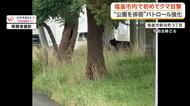 【映像あり】宮城県の港町 塩釜市内で初めてのクマの目撃 住宅や事業所などが立ち並ぶ地域 けが人なし