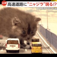 「レインボーブリッジを封鎖しろ！」“高速道路”にゴジラならぬ…