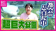 大阪のど真ん中に公園「グラングリーン大阪」街びらき　「素足が一番よろしい」芝生に横になる人も　フラフープやモルックも貸し出し