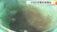春を告げるシロウオ漁が最盛期　海から川を上る小魚を大網ですくい上げる　“おどり食い”などで楽しむ春の味覚　徳島・阿南市
