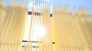 瀬戸内の冬空に “天日干し” 小豆島の「寒そうめん」 コロナ禍で家庭向けニーズ高まる【香川・土庄町】