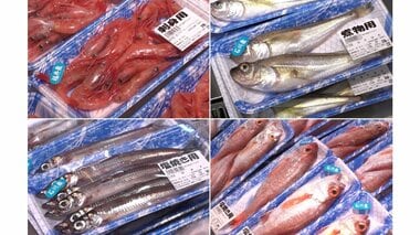 ノドグロにガスエビ、昆布パンまで…北陸のご当地スーパー「アルビス」が愛知初出店 品揃えからあふれる“郷土愛”
